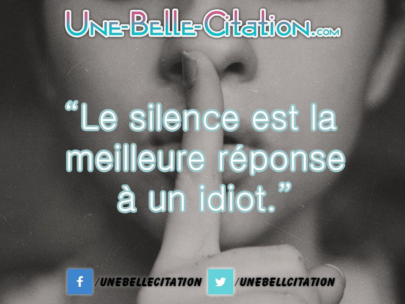 “Le silence est la meilleure réponse à un idiot.”