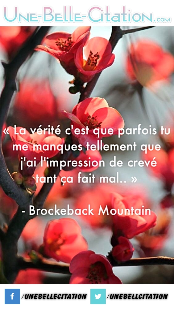 « La vérité c’est que parfois tu me manques tellement que j’ai l’impression de crever tant ça fais mal. » – Brockeback Mountain
